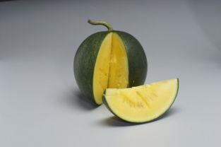 网销吃瓜,揭秘网络营销中的“瓜田”现象