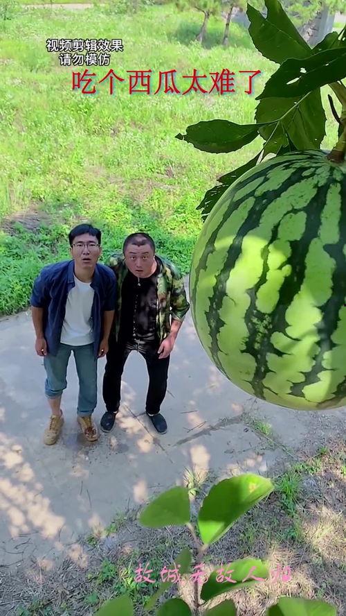 吃瓜怎么获得,揭秘“吃瓜”背后的娱乐产业秘密