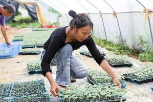 喂老头吃瓜,温情喂瓜老头，传承美好时光