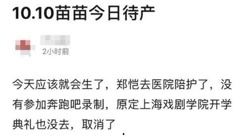 吃瓜爆料苗苗,娱乐圈幕后真相大揭秘