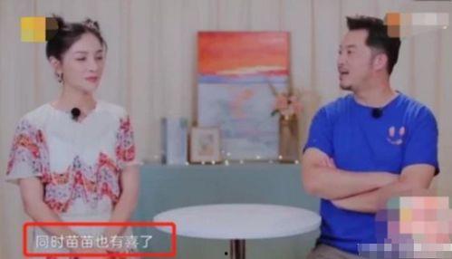 吃瓜爆料苗苗,娱乐圈幕后真相大揭秘