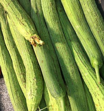 吃生瓜蔬菜直播,生瓜蔬菜的鲜美诱惑，带你领略舌尖上的自然美味