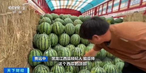 曹雨吃瓜,揭秘娱乐圈幕后故事