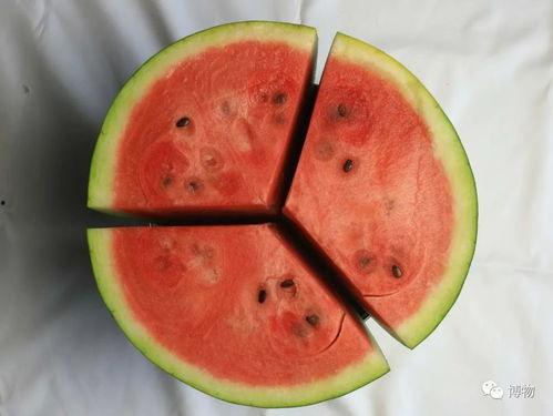 粪瓜怎样吃,探索独特美味的新选择