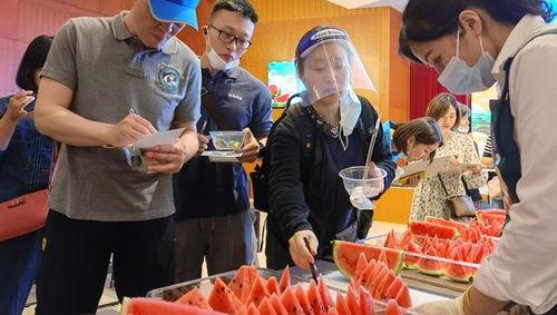 阿姨地里吃瓜,感受田园生活的惬意时光