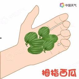 关注带你吃瓜呀